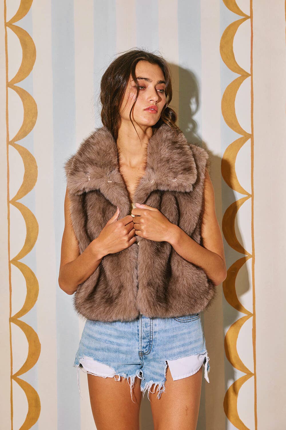 Dark Faux Fur Collar Vest