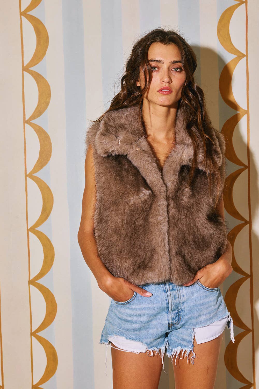 Dark Faux Fur Collar Vest
